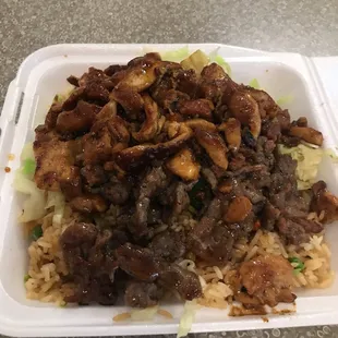 Chicken and beef teriyaki