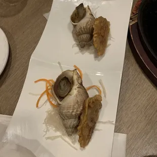 T shell