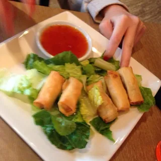 Vegetable Spring Roll