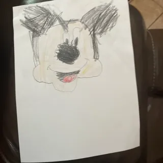 Maggio Cabernet, 2016, California