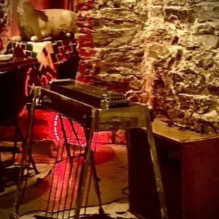 Pedal steel and deer with roses!! This place is amazing!!!