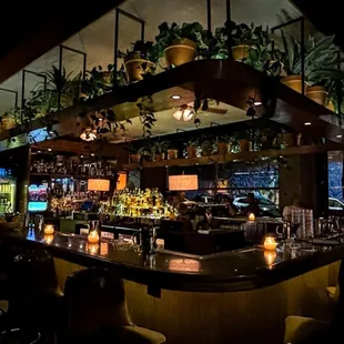 a dimly lit bar with candles and potted plants