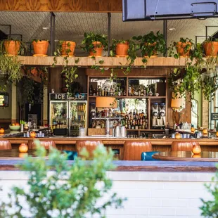 a view of a bar with potted plants