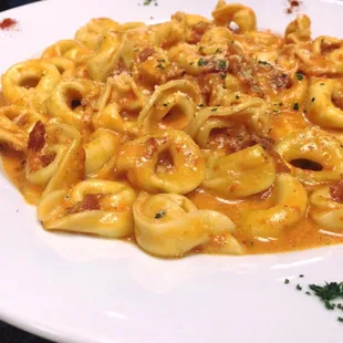 Cheese Tortellini in Vodka sauce!