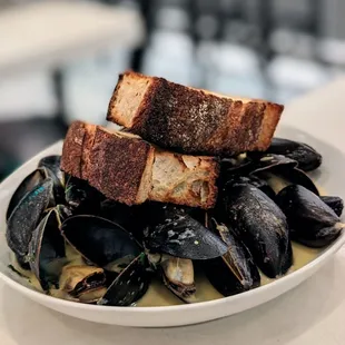 Maine Mussels