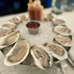 Oyster - fresh and local