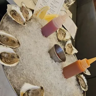 Oysters dozen so yummy