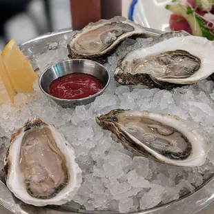 Oysters (Island Creek &amp; Wellfleet)