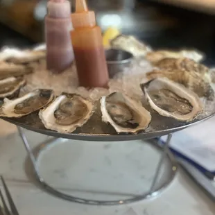 Oysters