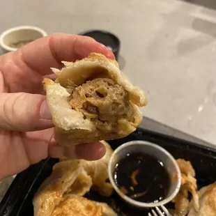 Pot Stickers