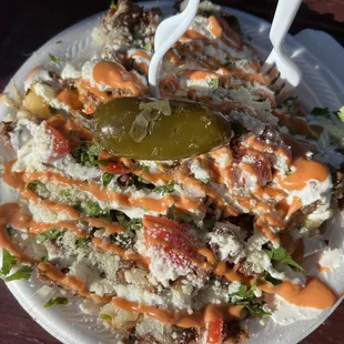 Fajita fries from one of the food trucks