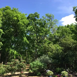 Many brides choose to get married in front of the berm!