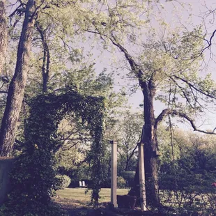 There are plenty of spots of beautiful photo opportunities in the little wren garden.