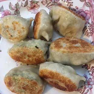 Vegetable Dumplings