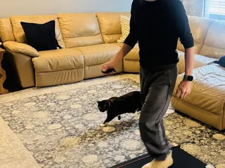 Millard Family Chiropractic & Wellness