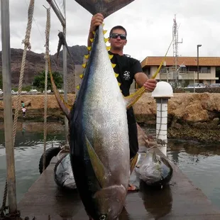 Huge Ahi! He put up one hell of a fight! Oahu's Best Deep Sea Fishing Boat Charter- Live Bait Sport Fishing, Oahu, Honolulu, Waianae, HI