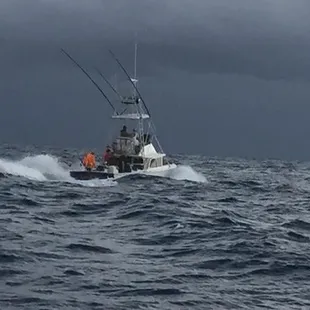 Oahu's Best Deep Sea Fishing Boat Charter- Live Bait Sport Fishing, Oahu, Honolulu, Waianae, HI