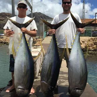 Looking for things to do in Hawaii? Oahu's Best Fishing Boat Charter- Live Bait Sport Fishing, Oahu, Honolulu, Waianae, HI