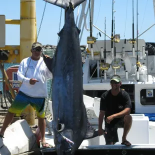 Pacific Blue Marlin- Catching is what we do! Oahu's Best Deep Sea Fishing Boat Charter- Live Bait Sport Fishing, Oahu, Honolulu, Waianae, HI