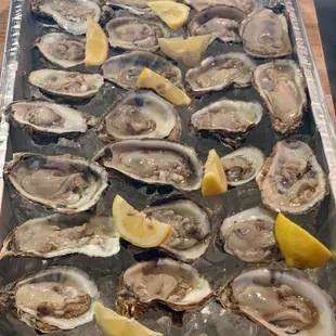 Raw Oysters