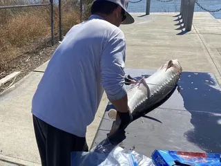 Bend UR Rod SportFishing