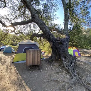 Camp 2 perspective from picnic table