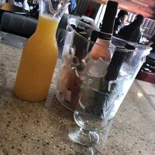 Bucket mimosa