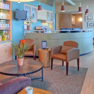 Reception inside of Alliance Chiropractic and Healing Arts