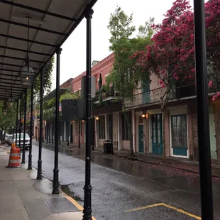 French Quarter walking tour
