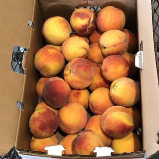 Fresh peaches!