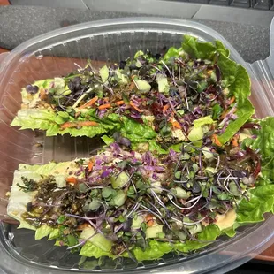 Asian Asian-Chicken Lettuce Wraps