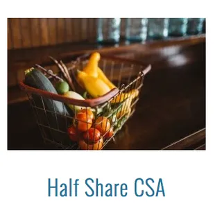 a basket of fruit and vegetables