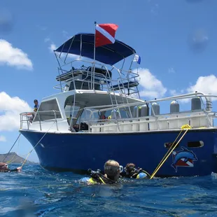 Living Ocean Tours