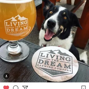 Winston's feature at LTD