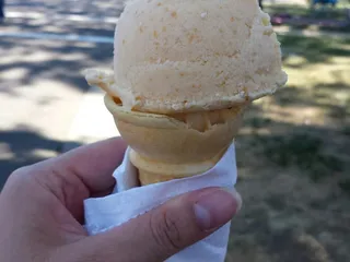 Patterson Apricot Fiesta