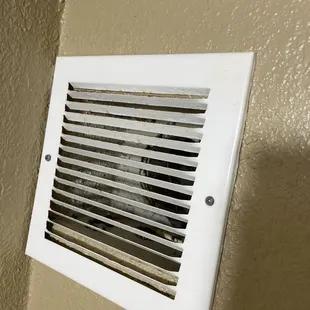 Tons of hairs, not entirely sure what's behind the vent. Looks gross.