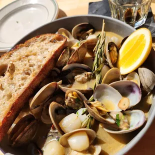 Clams &amp; scallops