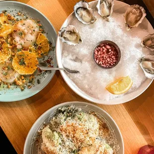 1/2 Dozen Oysters, Small Caesar Salad, Scallop Crudo