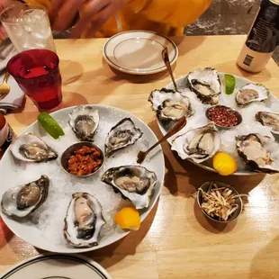 Pacific Plump Oysters