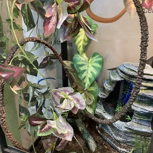 Can you spy with your eye ?