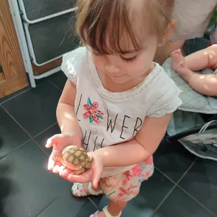 Baby tortoise!