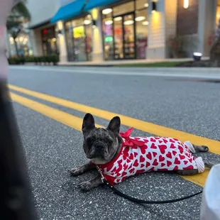 Outside