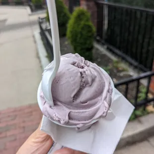 Black raspberry (second smallest scoop size)