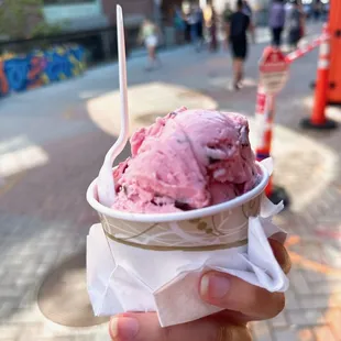 Small raspberry chocolate chip yogurt