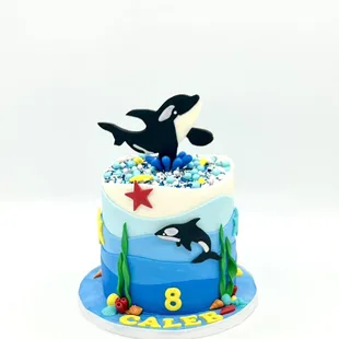 Killer whale theme cake 7&quot; serves 15-18