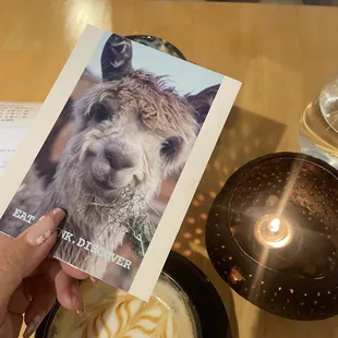 Dulce De Leche Sandwich