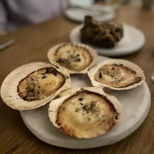 mussels, oysters and mussels, shellfish, oysters, food