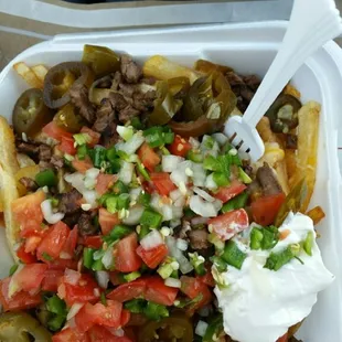 Carne asada fries. Best I've ever had.  Delicious!