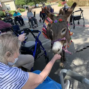 Nursing homes love animals too!