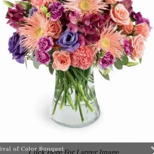 This is what we ordered for $100!